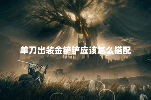 羊刀出装金铲铲应该怎么搭配？金铲铲的出装顺序是怎样的？