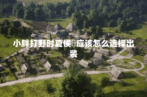 小胖打野时夏侯惇应该怎么选择出装？小胖的夏侯惇打野出装有哪些推荐？
