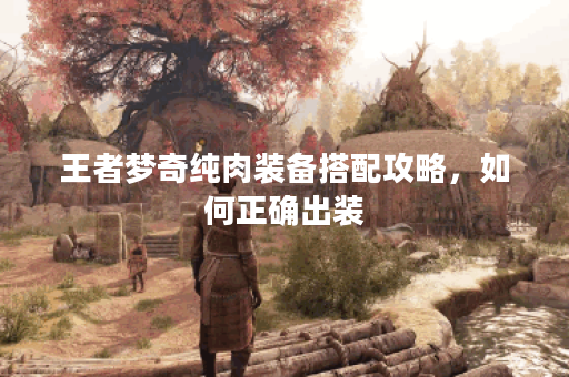 王者梦奇纯肉装备搭配攻略,如何正确出装? 王者梦奇纯肉装备搭配攻略,如何正确出装?