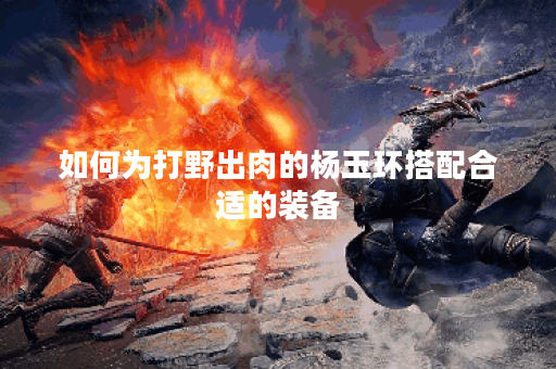 如何为打野出肉的杨玉环搭配合适的装备？