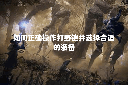 如何正确操作打野铠并选择合适的装备？