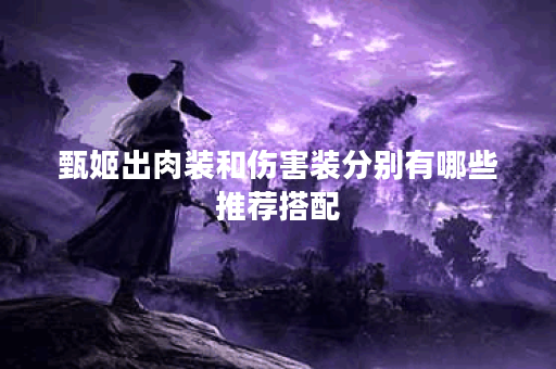 甄姬出肉装和伤害装分别有哪些推荐搭配？