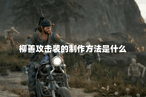 柳善攻击装的制作方法是什么？如何搭配出柳善的攻击装备？