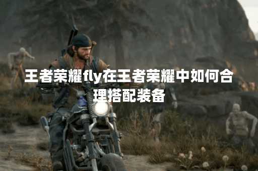 王者荣耀fly在王者荣耀中如何合理搭配装备？fly在游戏中应该怎么选择出装？