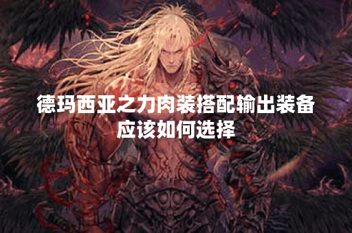 德玛西亚之力肉装搭配输出装备应该如何选择? 德玛西亚之力肉装搭配输出装备应该如何选择?
