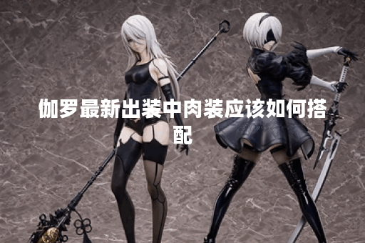 伽罗最新出装中肉装应该如何搭配?如何正确出装提升伽罗生存能力? 伽罗最新出装中肉装应该如何搭配?如何正确出装提升伽罗生存能力?