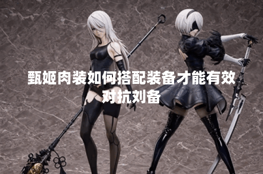 甄姬肉装如何搭配装备才能有效对抗刘备? 甄姬肉装如何搭配装备才能有效对抗刘备?