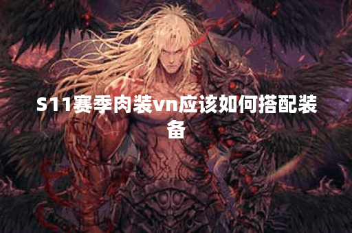 S11赛季肉装vn应该如何搭配装备？肉vn在s11版本中如何出装？