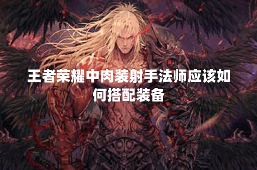 王者荣耀中肉装射手法师应该如何搭配装备？