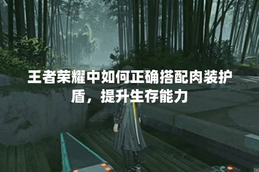 王者荣耀中如何正确搭配肉装护盾，提升生存能力？