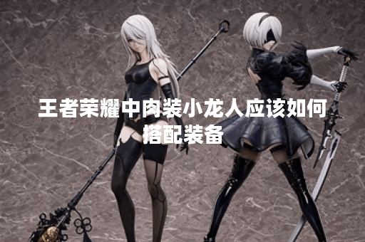 王者荣耀中肉装小龙人应该如何搭配装备？肉装小龙人最佳出装方案是什么？