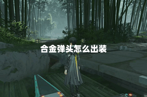 合金弹头怎么出装