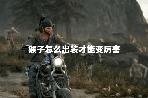 猴子怎么出装才能变厉害