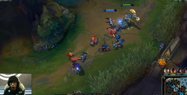 LOL冠军辅助有哪些？他们的表现如何？