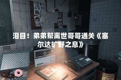 泪目！弟弟帮离世哥哥通关《塞尔达旷野之息》